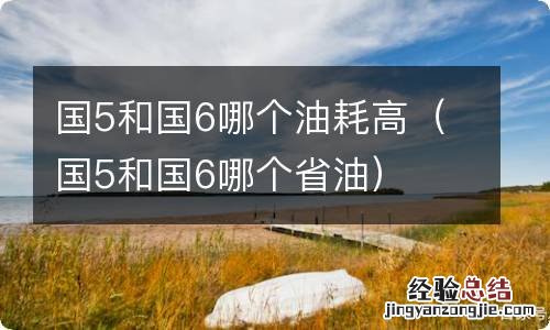 国5和国6哪个省油 国5和国6哪个油耗高