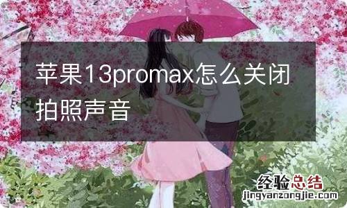 苹果13promax怎么关闭拍照声音