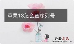 苹果13怎么查序列号