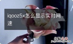 iqooz5x怎么显示实时网速