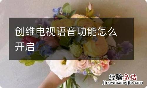 创维电视语音功能怎么开启