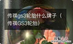 传祺GS3轮胎 传祺gs3轮胎什么牌子