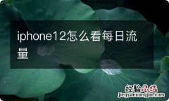 iphone12怎么看每日流量