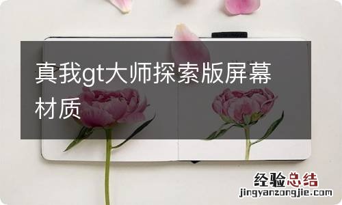 真我gt大师探索版屏幕材质