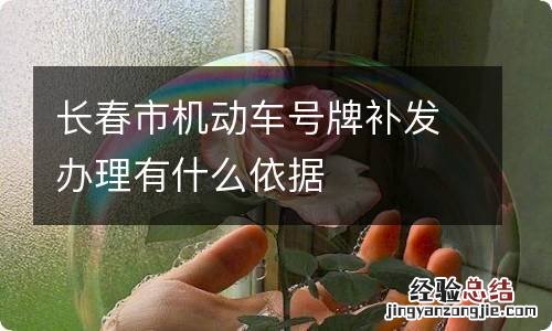 长春市机动车号牌补发办理有什么依据
