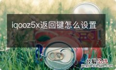 iqooz5x返回键怎么设置