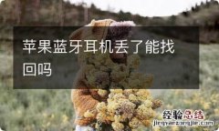 苹果蓝牙耳机丢了能找回吗