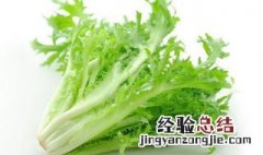 苦菊保鲜方法 新鲜苦菊怎么保存