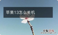 苹果13怎么关机