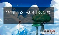 华为bah2-w09什么型号