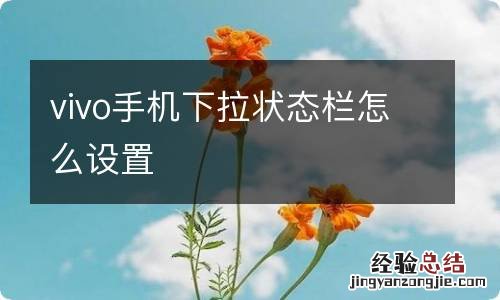 vivo手机下拉状态栏怎么设置