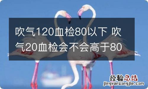 吹气120血检80以下 吹气20血检会不会高于80