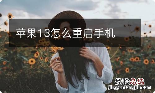 苹果13怎么重启手机