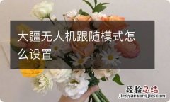 大疆无人机跟随模式怎么设置