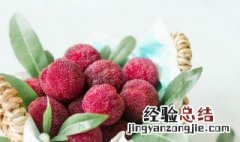 杨梅冰冻了还能吃吗 杨梅冰冻后还能吃吗