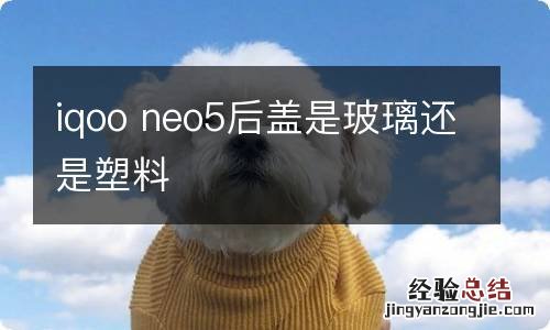 iqoo neo5后盖是玻璃还是塑料