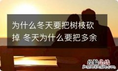 为什么冬天要把树枝砍掉 冬天为什么要把多余的树枝锯掉