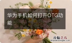 华为手机如何打开OTG功能