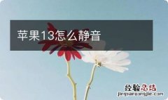 苹果13怎么静音