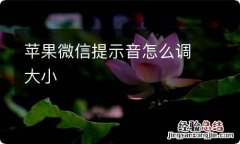 苹果微信提示音怎么调大小