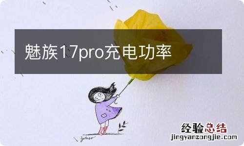 魅族17pro充电功率