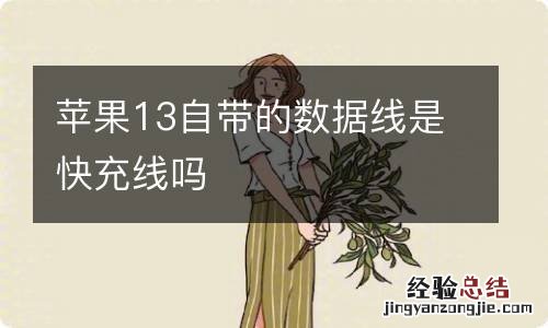 苹果13自带的数据线是快充线吗