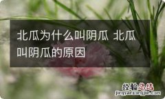 北瓜为什么叫阴瓜 北瓜叫阴瓜的原因