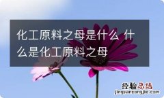 化工原料之母是什么 什么是化工原料之母