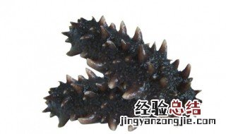 怎样吃海参最好 怎么做