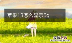 苹果13怎么显示5g