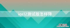 ios12测试版怎样降 ios12怎么降级到ios9