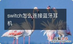 switch怎么连接蓝牙耳机