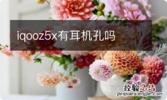 iqooz5x有耳机孔吗