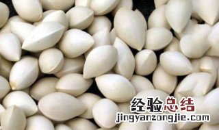 新鲜白果怎么清洗 这些需要注意