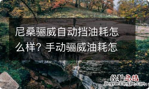 尼桑骊威自动挡油耗怎么样? 手动骊威油耗怎么样