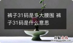 裤子31码是多大腰围 裤子31码是什么意思