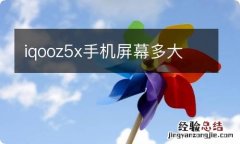 iqooz5x手机屏幕多大