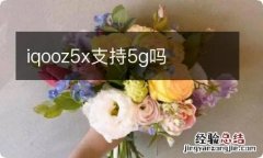 iqooz5x支持5g吗