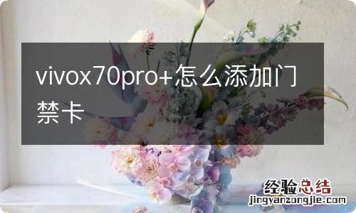 vivox70pro+怎么添加门禁卡