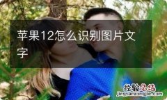 苹果12怎么识别图片文字