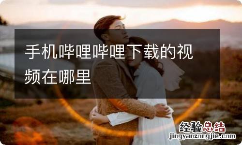 手机哔哩哔哩下载的视频在哪里