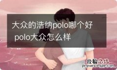 大众的浩纳polo哪个好 polo大众怎么样