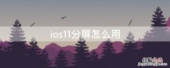 苹果手机ios11怎么分屏 ios11分屏怎么用