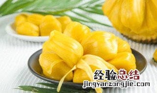 菠萝蜜打开没熟怎么办 菠萝蜜打开没熟的处理方法