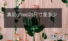 真我gtneo2t尺寸是多少