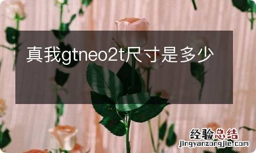 真我gtneo2t尺寸是多少