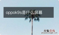 oppok9s是什么屏幕