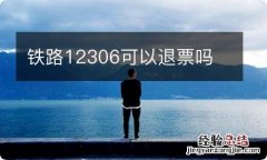 铁路12306可以退票吗