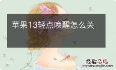 苹果13轻点唤醒怎么关