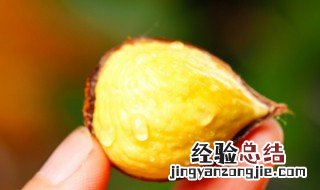 板栗剥皮后能放冰箱冷冻保存吗 板栗剥皮后能放冰箱冷冻保存吗吗